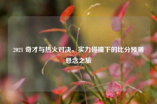 2021 奇才与热火对决，实力碰撞下的比分预测悬念之旅
