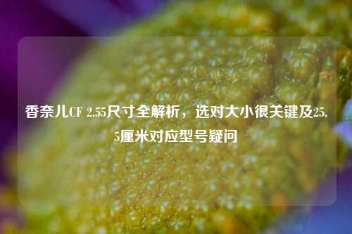 香奈儿CF 2.55尺寸全解析,选对大小很关键及25.5厘米对应型号疑问