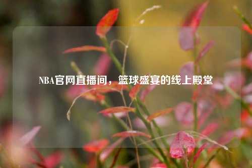 NBA官网直播间，篮球盛宴的线上殿堂