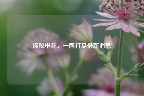 探秘申花，一网打尽最新消息