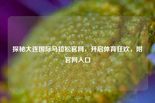 探秘大连国际马拉松官网，开启体育狂欢，附官网入口