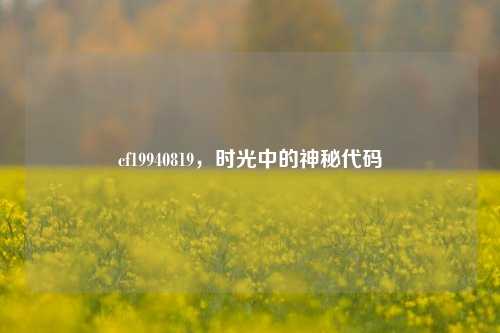 cf19940819,时光中的神秘代码