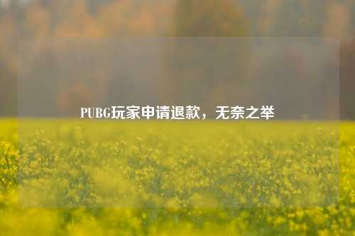 PUBG玩家申请退款,无奈之举