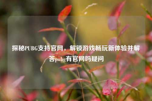 探秘PUBG支持官网,解锁游戏畅玩新体验并解答pubg有官网吗疑问