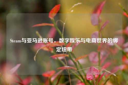 Steam与亚马逊账号,数字娱乐与电商世界的绑定纽带