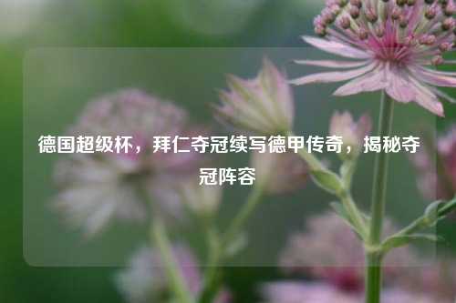 德国超级杯,拜仁夺冠续写德甲传奇,揭秘夺冠阵容