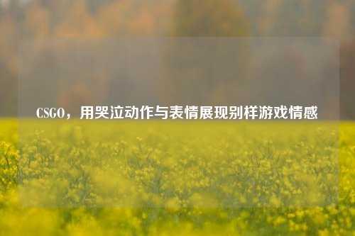 CSGO,用哭泣动作与表情展现别样游戏情感