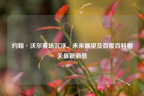 约翰·沃尔赛场沉浮、未来展望及百度百科相关最新消息