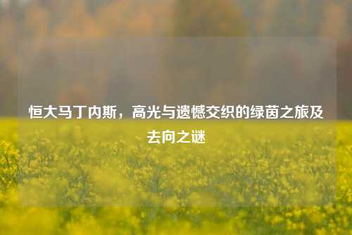 恒大马丁内斯,高光与遗憾交织的绿茵之旅及去向之谜