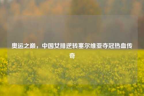 奥运之巅,中国女排逆转塞尔维亚夺冠热血传奇