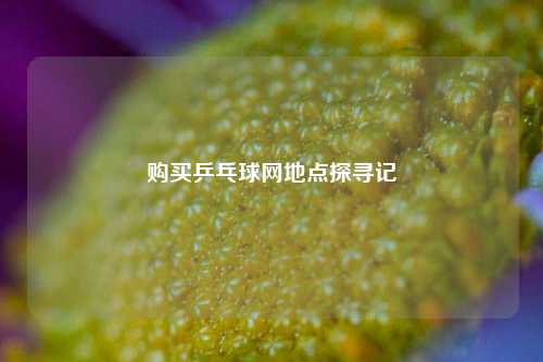 购买乒乓球网地点探寻记