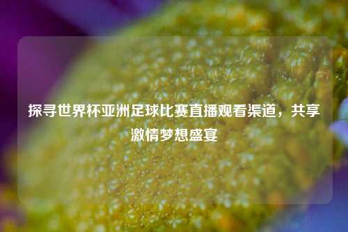 探寻世界杯亚洲足球比赛直播观看渠道，共享激情梦想盛宴