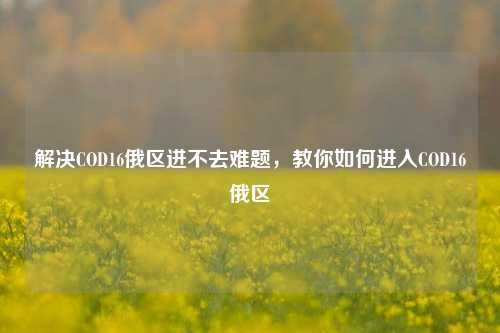 解决COD16俄区进不去难题,教你如何进入COD16俄区