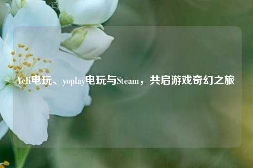 Yeli电玩、yoplay电玩与Steam，共启游戏奇幻之旅