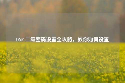 DNF 二级密码设置全攻略,教你如何设置