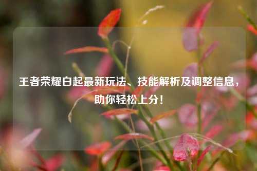 王者荣耀白起最新玩法、技能解析及调整信息，助你轻松上分！