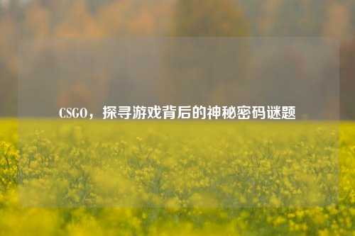 CSGO,探寻游戏背后的神秘密码谜题