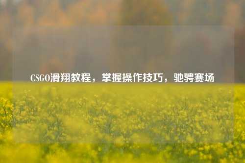 CSGO滑翔教程,掌握操作技巧,驰骋赛场