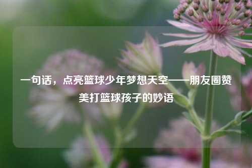 一句话,点亮篮球少年梦想天空——朋友圈赞美打篮球孩子的妙语
