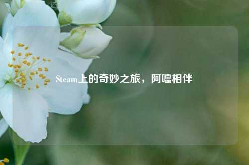 Steam上的奇妙之旅，阿嚏相伴