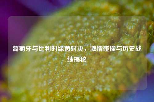 葡萄牙与比利时绿茵对决，激情碰撞与历史战绩揭秘