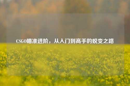 CSGO瞄准进阶,从入门到高手的蜕变之路