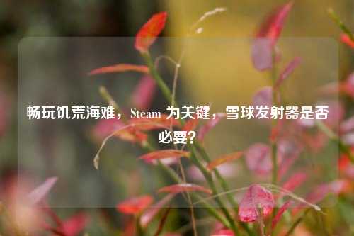 畅玩饥荒海难，Steam 为关键，雪球发射器是否必要？