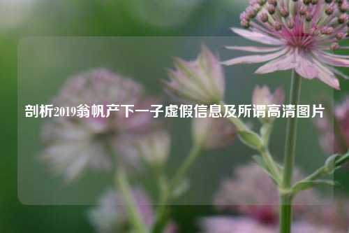 剖析2019翁帆产下一子虚假信息及所谓高清图片