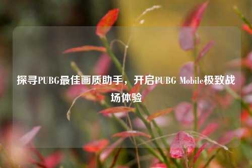 探寻PUBG最佳画质助手,开启PUBG Mobile极致战场体验