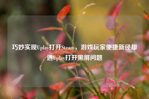 巧妙实现Uplay打开Steam,游戏玩家便捷新径却遇Uplay打开黑屏问题