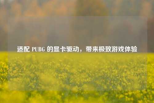适配 PUBG 的显卡驱动，带来极致游戏体验
