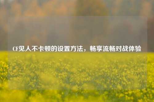 CF见人不卡顿的设置方法,畅享流畅对战体验