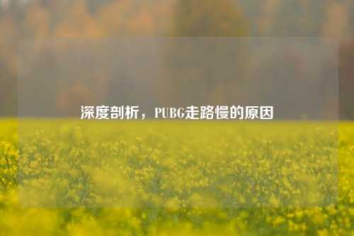 深度剖析,PUBG走路慢的原因