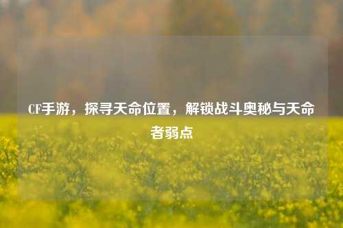 CF手游,探寻天命位置,解锁战斗奥秘与天命者弱点