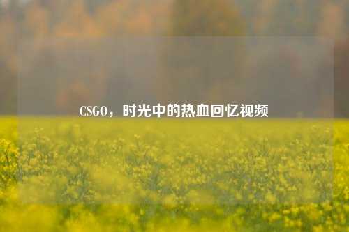CSGO,时光中的热血回忆视频