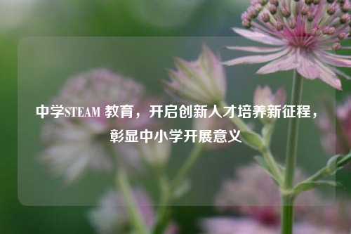 中学STEAM 教育,开启创新人才培养新征程,彰显中小学开展意义