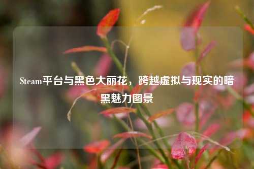 Steam平台与黑色大丽花,跨越虚拟与现实的暗黑魅力图景
