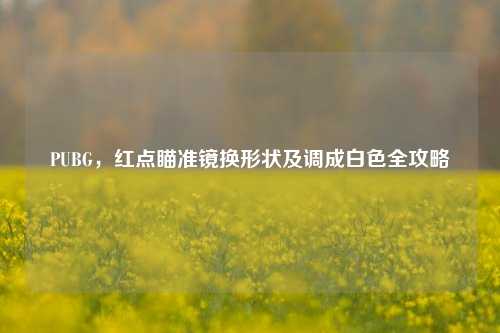 PUBG,红点瞄准镜换形状及调成白色全攻略