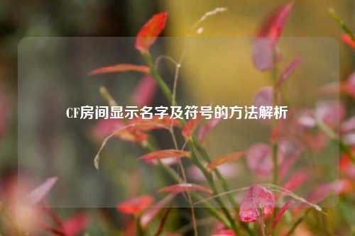 CF房间显示名字及符号的方法解析