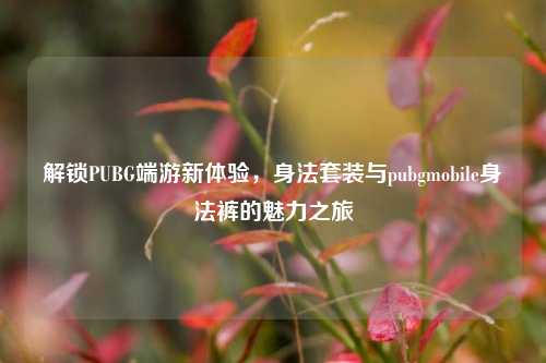 解锁PUBG端游新体验,身法套装与pubgmobile身法裤的魅力之旅