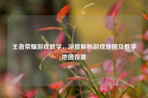 王者荣耀游戏教学,深度解析游戏地图及教学地图位置