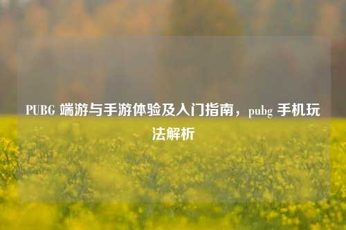 PUBG 端游与手游体验及入门指南,pubg 手机玩法解析