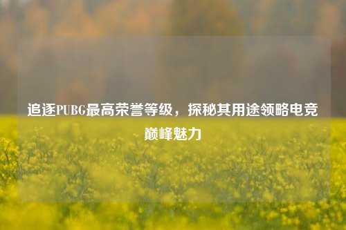 追逐PUBG最高荣誉等级，探秘其用途领略电竞巅峰魅力