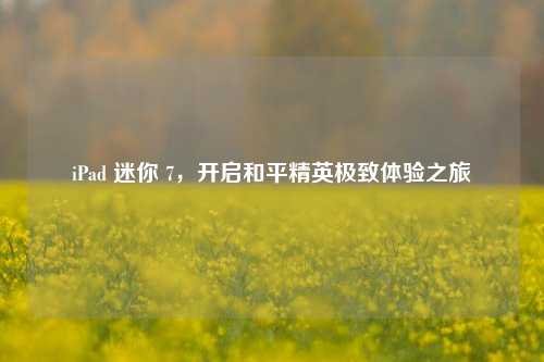 iPad 迷你 7，开启和平精英极致体验之旅