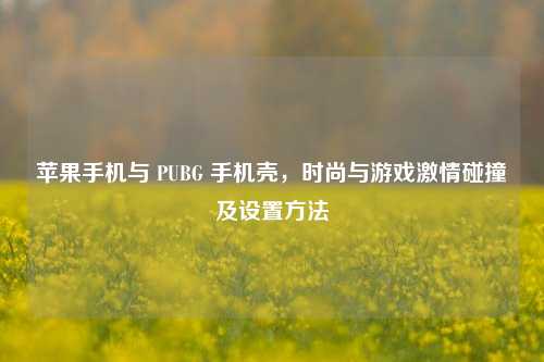 苹果手机与 PUBG 手机壳,时尚与游戏激情碰撞及设置方法