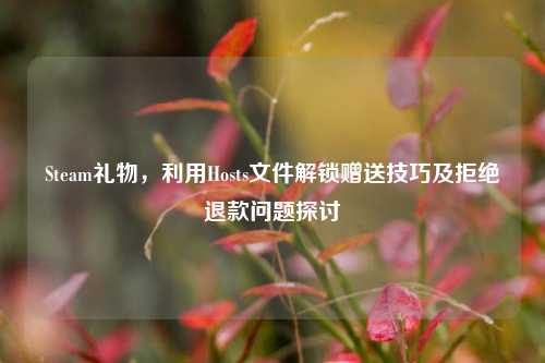 Steam礼物,利用Hosts文件解锁赠送技巧及拒绝退款问题探讨