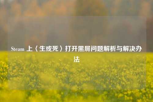 Steam 上〈生或死〉打开黑屏问题解析与解决办法