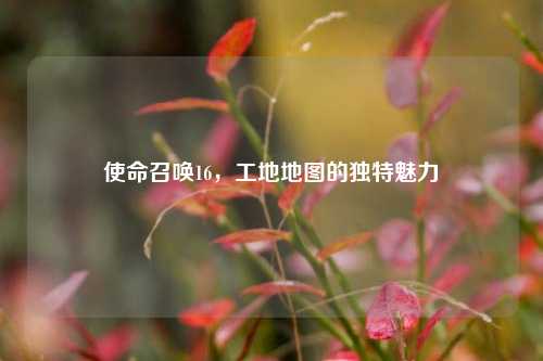 使命召唤16,工地地图的独特魅力