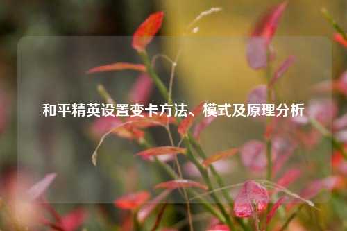 和平精英设置变卡方法、模式及原理分析