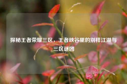 探秘王者荣耀三区，王者峡谷里的别样江湖与三区谜团